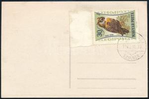 1959 Lepke 1Ft bélyeg képe az 1962 évi szolnoki bélyegkiállítás reklám képeslapján