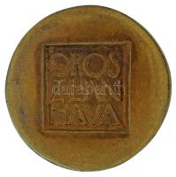 Ligeti Erika (1934-2004) DN "Oroszlán hava" bronz emlékérem (40mm) T:AU