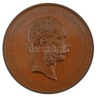 1899. "Ferenc József I.K. Ausztriai Császár és Magyarország Apostoli Királya / A kertészet és gyümölcsészet terén szerzett érdem elismeréseül - 1899" kétoldalas bronz díjérem, a hátoldalán névre szóló gravírozással (102,79g/63mm) T:AU, pici peremhiba / Hungary 1899. "Franz Joseph I, Emperor of Austria and Apostolic King of Hungary / In recognition of his achievements in horticulture - 1899" two-sided bronze award medal, engraved on the reverse (102,79g/63mm) C:AU, tiny edge error
