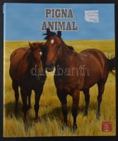 TÖRÖKORSZÁG - Kb. 42 db RÉGI török képeslap egy albumban, vegyes minőségben / TÜRKIYE, TURKEY - Cca....