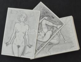 Kb. 80 db MODERN erotikus hölgyek képeslap, Charles Berg grafikái / Cca. 80 MODERN erotic nude women postcards, signed by Charles Berg