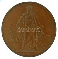 Wenzel Seidan (1817-1870) 1876. "Máramaros Megye és Sziget Kor. Városa - A Magyar Orvosok és Természetvizsgálók XIX. Gyűlésének" kétoldalas bronz emlékérem (45mm) T:AU,XF, pici peremhiba, kis patina / Hungary 1876. "Maramureş County and Sighetu Marmatei / VIIIth General Assembly of the Hungarian Doctors and Naturalists" two-sided bronze commemorative medallion. Sign.: "Seidan" (45mm) C:AU,XF, tiny edge error, small patina