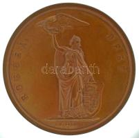 1874. "Borúra derű (A Magyar Tudományos Akadémia Nagydíja)" kétoldalas bronz érdemérem, hátoldalán "Helmár Ágostnak Vitéz jutalomal a M. T. Akadémia 1874" gravírozással. Az árverésen szereplő díjat Helmár Ágost (Pozsony, 1847. szeptember 3. - Pozsony, 1912. március 5.) királyi főgimnáziumi tanár kapta. Szign.: "J. D. BOEHM F." (45mm) T:AU / 1874. "Borura derű (Grand Prize of the Hungarian Academy of Sciences)" two-sided bronze medal, with "Helmár Ágostnak Vitéz jutalomal a M. T. Akadémia 1874. (The Hungarian Academy of Sciences, for Helmár Ágost)" engrave on the reverse. The award featured in the auction was given to Helmár Ágost (Pozsony, 1847. szeptember 3. - Pozsony, 1912. március 5.) teacher at the royal high school. Sign.: "J. D. BOEHM F." (45mm) C:AU