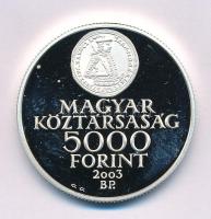 2003. 5000Ft Ag "A Rákóczi szabadságharc 300. évfordulója" kapszulában T:PP, kis oxid pöttyök Adamo EM186