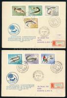 1967 (2 pcs), 1967 (2 db)