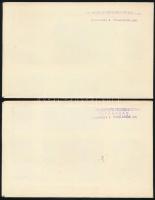 1966 (2 pcs) 1966 (2 db)