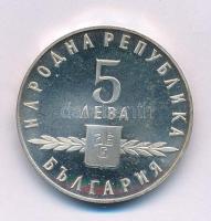 Bulgária 1963. 5L Ag "Cirill ABC 1100. évfordulója" kapszulában T:PP, patina
Bulgaria 196...