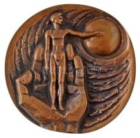 Horváth János (1940-) 1981. "50 éves a Magyar Élettani Társaság" kétoldalas, öntött bronz plakett (92mm) T:AU CS 917.