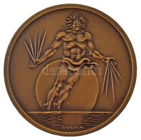 Borsos Miklós (1906-1990) 1980. "XXVIII. International Congress of Physiological Sciences Budap...