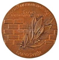 DN "Somogy-Zala Megyei Téglaipari V. - 35 éves törzsgárda tagságért - Kaposvár" egyoldalas, öntött bronz plakett (100mm) T:AU