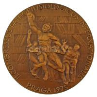 Csehszlovákia 1975. "II. Congressus Pathophysiologicus Internationalis - Praga 1975 / Praha" kétoldalas bronz plakett (81mm) T:AU