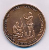 Lapis András (1942-) 1988. "Telcs Ede 1872-1948 / Magyar Éremgyűjtők Egyesülete Bajai Csoportja" kétoldalas bronz emlékérem (42,5mm) T:AU Adamo BA4