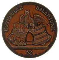 Heinrich Karl 1842. "Egyesülve Haladjunk / A Magyar Orvosok és Természetvizsgálóknak Beszterczebánya Aug. IV. MDCCCXLII" kétoldalas bronz emlékérem (42,1g/45mm) T:XF, kis peremhiba / Hungary 1842. "Move in Unity / Hungarian Physicians and Naturalists in Beszterczebánya on 4th of August 1842" two-sided bronze commemorative medallion. Sign.: "Karl Heinrich" (42,1g/45mm) C:XF, small edge error
