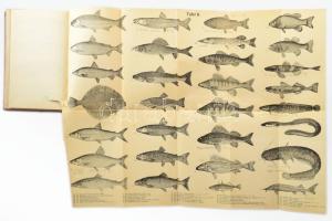 [Horgászatról szóló képes munka] Fellner, Gustav: Der Angelsport / Bibliothek für Sport und Spiel. L...