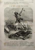 1868 Hazánk s a Külföld IV. évf. második félévi száma egybe kötve Szerk.: Kazár Emil, szerk. társ.: ...