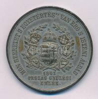 1861. "Országgyűlési Emlék" kétoldalas Sn emlékérem. "HON SZERETET 'S EGYETÉRTÉSBE VAN ERŐ 'S ISTENI ÁLDÁS - 1861 ORSZÁG GYŰLÉSI EMLÉK / E HAZA CSAK AKKOR TULAJDONUNK HA TÖRVÉNYEINKET NEM IDEGENEK KEZELIK - HAZÁDNAK RENDÜLETLENÜL LÉGY HÍVE...." (50mm) T:XF patina