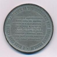 1861. "Országgyűlési Emlék" kétoldalas Sn emlékérem. "HON SZERETET 'S EGYETÉRTÉS...