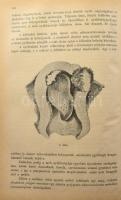 Elme- és idegkórtan. szerk: Babarczi Schwartzer Ottó, Moravcsik Ernő Emil. Bp., 1906. évfolyam, bekö...