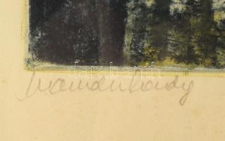 Scultéty Éva (1917-2001): Virágok. Színezett rézkarc, papír, jelzett, számozott 29x20 cm . Üvegezett...