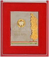 1978. "Népi Ellenőrzés" műgyantás, bronz jelvény, rátétes krómozott plaketten "1958-1978" gravírozással, eredeti tokban (105x89mm) T:AU