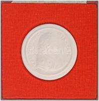 1976. "II. Rákóczi Ferenc születésének 300. évfordulójára" egyoldalas kerámia emlékérem tokban (60mm) T:AU