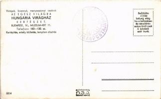 Budapest V. Hungária Virágház, kertészet. Múzeum körút 11. + "1942 HUNGÁRIA VIRÁGHÁZ VIRÁGPOSTÁ...
