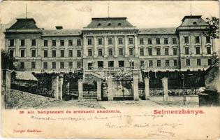 1901 Selmecbánya, Schemnitz, Banská Stiavnica; M. kir. bányászati és erdészeti akadémiai palota. Joerges kiadása / new Mining and Forestry Academy palace (EB)
