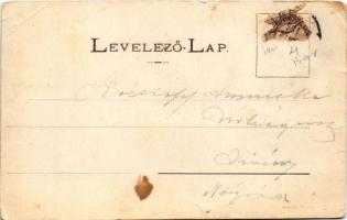 1901 Selmecbánya, Schemnitz, Banská Stiavnica; M. kir. bányászati és erdészeti akadémiai palota. Joe...