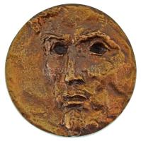 DN "Itt kezdtem verseket csinálni - Petőfi - Aszód 1835-1838" kétoldalas, öntött emlékérem (80-81mm) T:XF