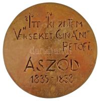 DN "Itt kezdtem verseket csinálni - Petőfi - Aszód 1835-1838" kétoldalas, öntött emlékérem...