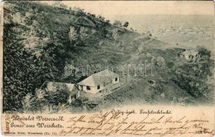 1900 Versec, Vrsac; Ördög-árok. Wilhelm Wettl No. 71. / Teufelsschlucht / valley (ázott sarok / wet corner)
