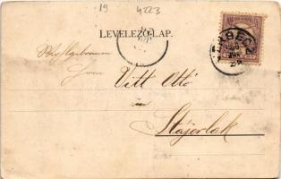 1900 Versec, Vrsac; Ördög-árok. Wilhelm Wettl No. 71. / Teufelsschlucht / valley (ázott sarok / wet ...