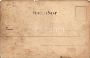 Nagyszalonta, Salonta; Az új kórház, részlet a Váradi utcából, Sternthal óvoda, Izraelita imaház, zs...