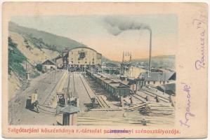 1911 Petrozsény, Petrosani; Salgótarjáni kőszénbánya r. t. petrozsényi szénosztályozója, iparvasút. Steiner R. kiadása / coal mine, coal classification plant, industrial railway (kis szakadás / small tear)