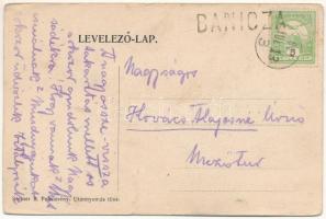 1911 Petrozsény, Petrosani; Salgótarjáni kőszénbánya r. t. petrozsényi szénosztályozója, iparvasút. ...