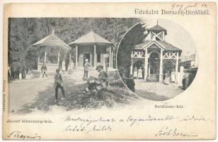 1909 Borszék, Borsec; József főherceg kút, Boldizsár kút / spa, mineral spring wells. Art Nouveau (r)