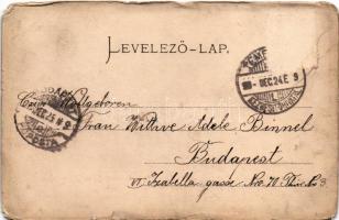 1898 Temesvár, Timisoara; Jenő herceg tér, Temesi Agrár Takarékpénztár, Franz Lemmer üzlete. Stengel...