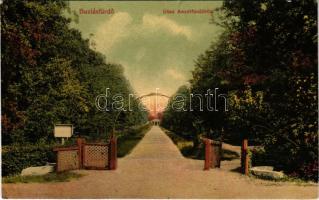 Buziásfürdő, Baile Buzias; Drumul spre Baia Feruginoasa / Út az acélfürdőhöz. Francz József kiadása / Weg zum Stahlbad / road to the baths (EK)