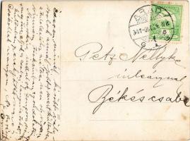 1911 Arad, hölgy egyenruhában a ház udvarán / lady in uniform. photo (vágott / cut)