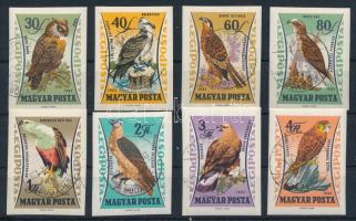 1962 Madarak vágott sor