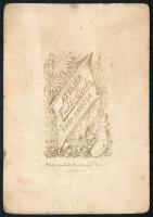 cca 1880-1890 Fiatal hölgy érdekes, díszes öltözetben, kezében sarlóval, kabinetfotó Fiedler Gyula n...