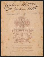 1878 csíkszentkirályi és krasznahorkai gróf Andrássy Karolina (1865-1937) csillagkeresztes hölgy, gr...