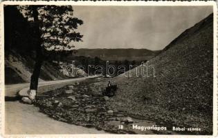Magyarlápos, Oláhlápos, Targu Lapus; Bábai szoros / Baba gorge (gyűrődés / crease)
