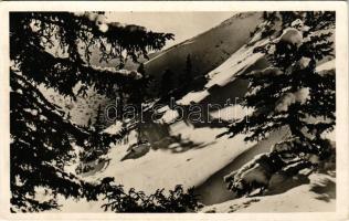 Lóhavas, Podu Calului; Magyar Sí Klub Anikó menedékháza, Kolozsváry Béla felvétele / ski club rest house (EK)