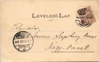 1900 Eperjes, Presov; Kir. törvényszék, Fő utca. Fénynyomat Divald műintézetéből 73. / main street, ...