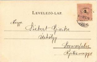 1899 Pozsony, Pressburg, Bratislava; Szt. Ferenc rendűek tornya a ligetben. Schmidt Edgar kiadása / ...