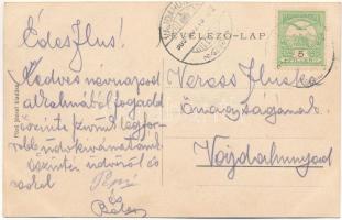 1909 Piski, Simeria; Heti vásár, piac. Főző József kiadása / market (fl)