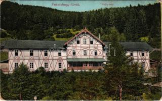 1912 Feketehegy-fürdő, Feketehegy, Schwartzenberg, Cernohorské kúpele (Merény, Vondrisel, Nálepkovo); Thököly ház / villa, spa (kopott sarkak / worn corners)