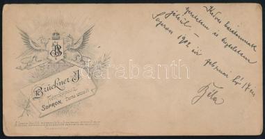 1902 Sopron, katonatiszt Jubileumi Udvari Emlékérem kitüntetéssel, keményhátú fotó Brückner Ignác so...