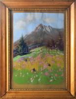 Polónyi Károly (1894-): Rózsahegy (Tátra). Pasztell, papír, jelzett. Dekoratív, üvegezett fakeretben, 42,5×30 cm